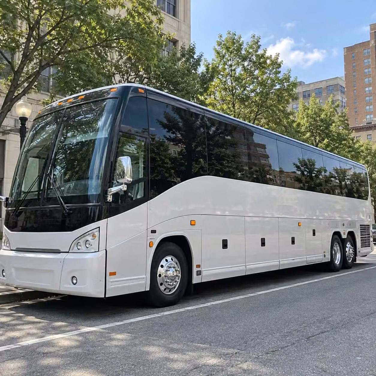 cooper city engagement party and post wedding farewell brunch shuttles in cooper city